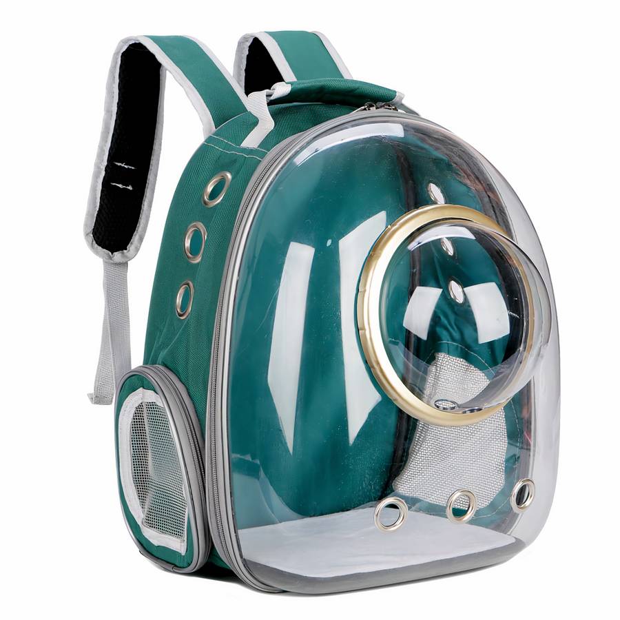 Borsa Trasparente Per Gatti Verde
