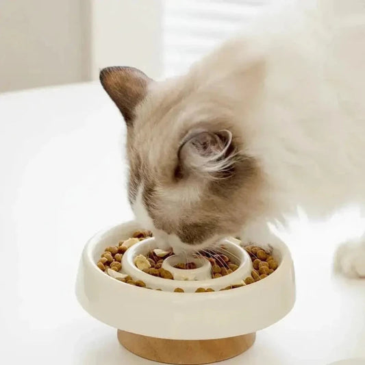 Ciotola Anti Ingozzamento Gatto Per Gatti