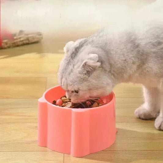 Ciotola Gatti Anti Ingozzamento Per Gatti