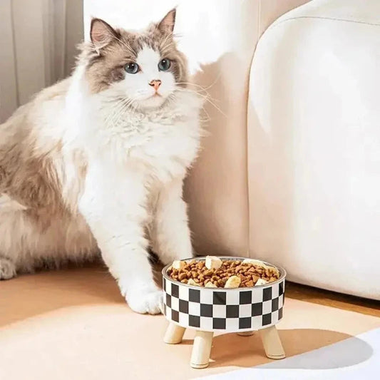 Ciotola Gatto Rialzata Per Gatti