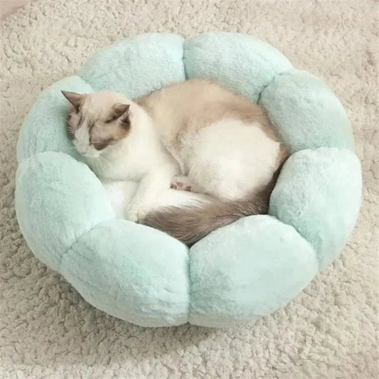 Cucce Per Gatto Per Gatti