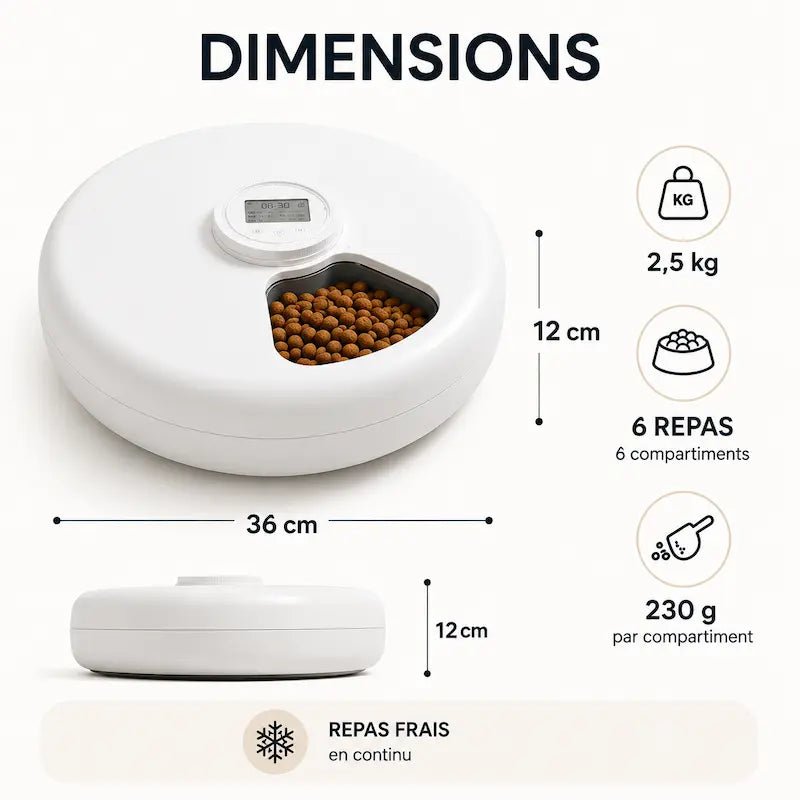 Distributore Crocchette Per Gatti Design