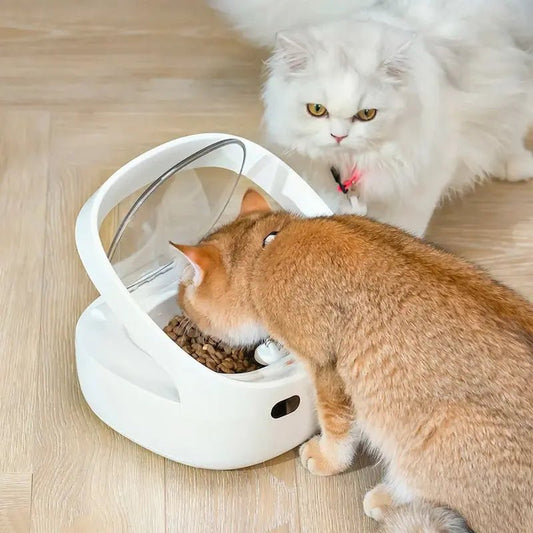 Distributori Automatici Cibo Per Gatti In Ceramica