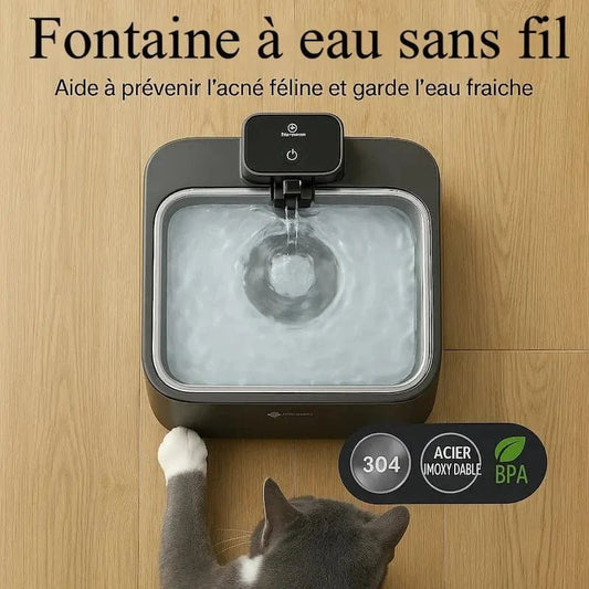 Filtri Fontana Gatto Per Gatti