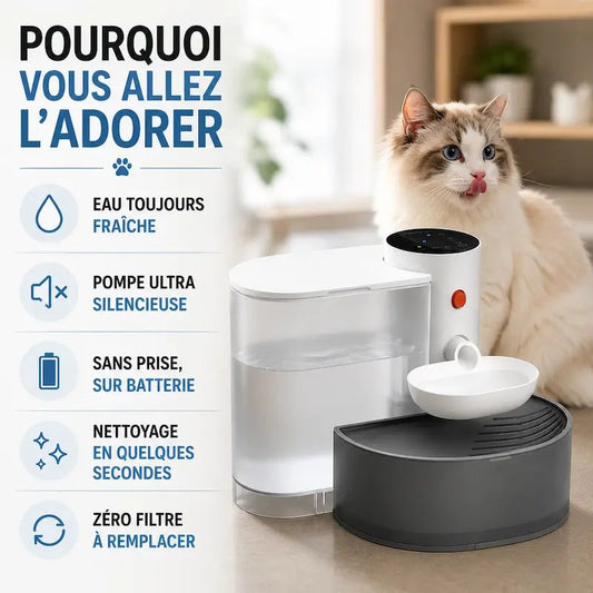 Fontana Gatto Senza Fili Per Gatti