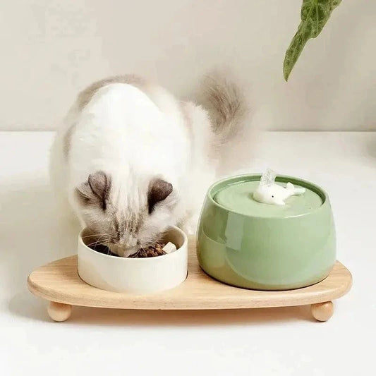 Fontane Per Gatti In Ceramica