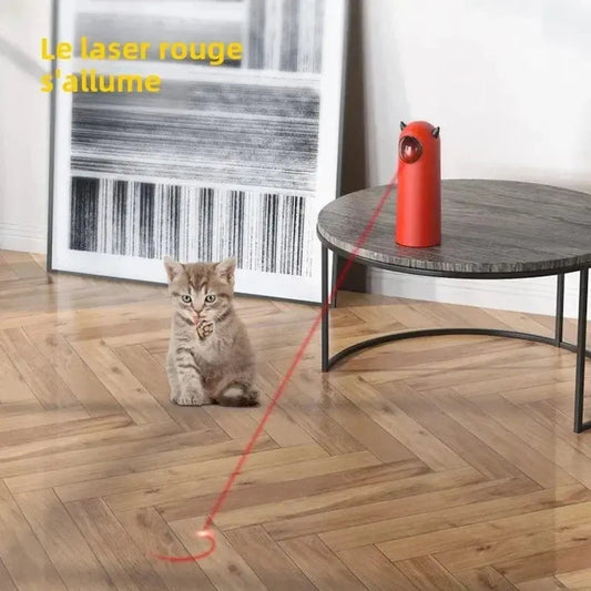 Giochi Interattivi Per Gatti Interattivo