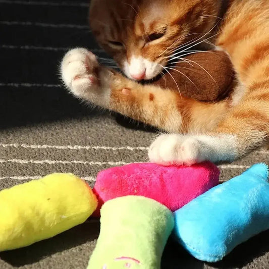 Gioco Per Gatti Interattivo