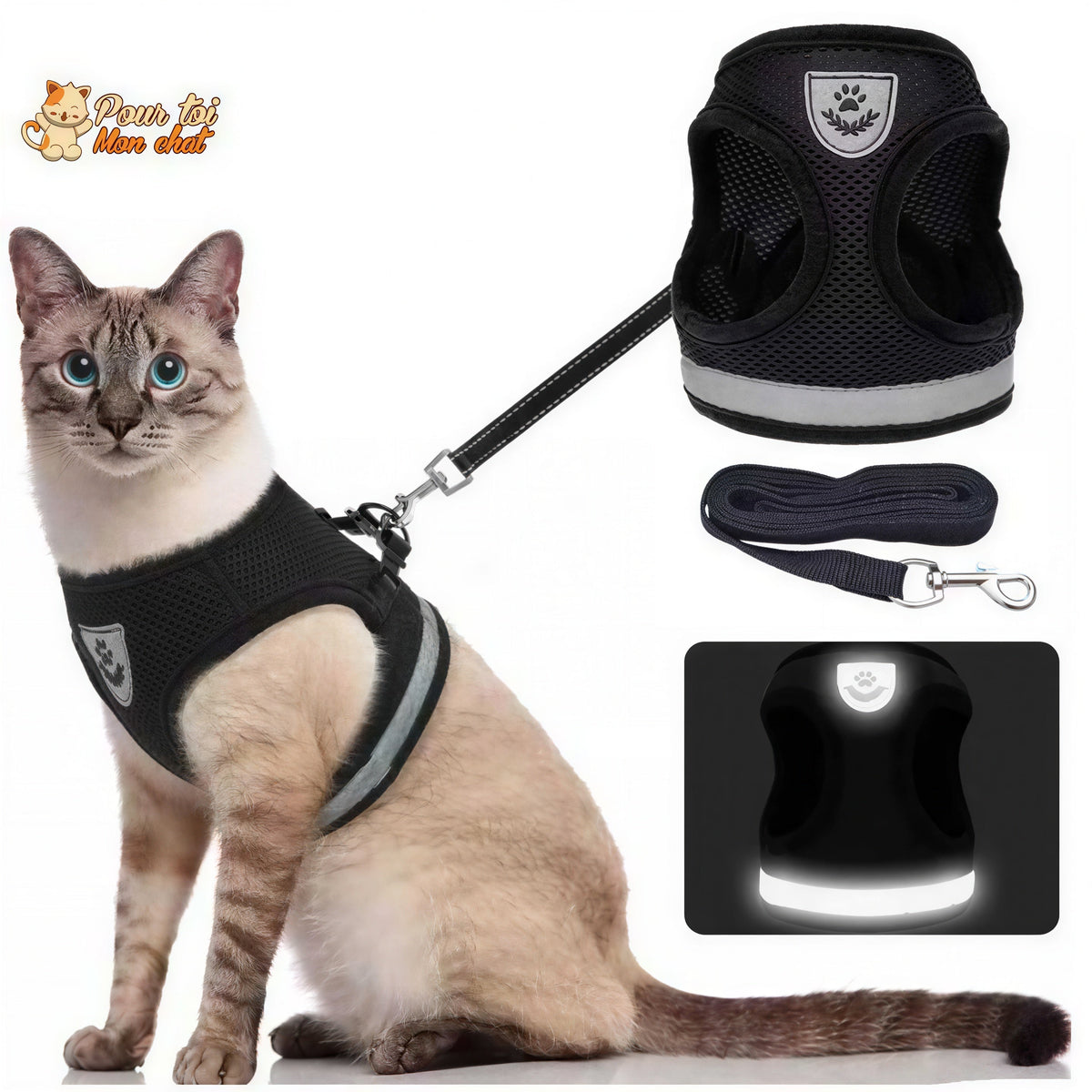 Guinzaglio Gatto Resistente