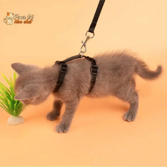 Guinzaglio Per Gatti Antifuga Regolabile