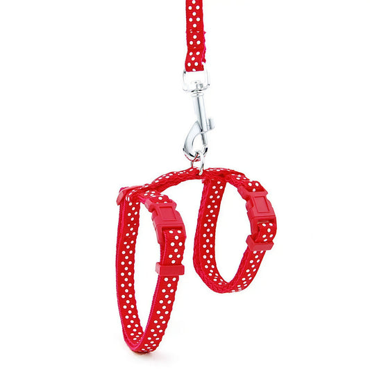 Guinzaglio Regolabile In Nylon Per Gatti