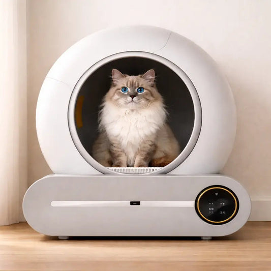 Lettiera Autopulente Per Gatti Per Gatti