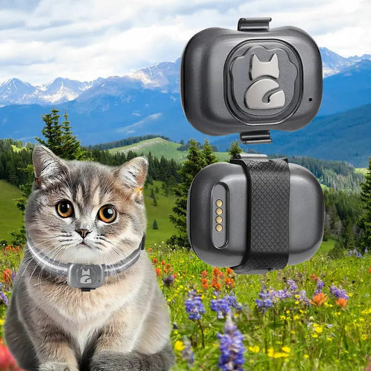 Localizzatore GPS Gatto Per Gatti