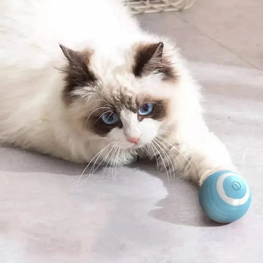 Pallina Interattiva Per Gatti Interattivo