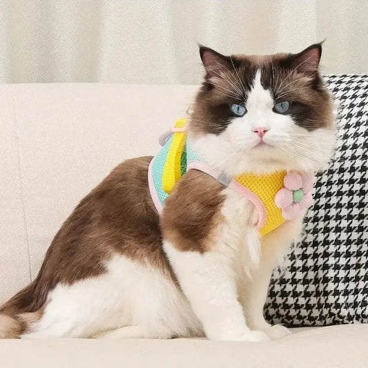 Pettorina A Fiori Per Gatti Antifuga