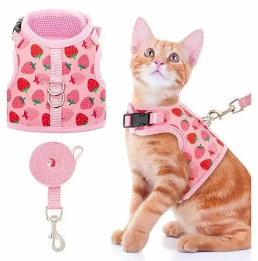 Pettorina Per Gatto Antifuga Per Gatti