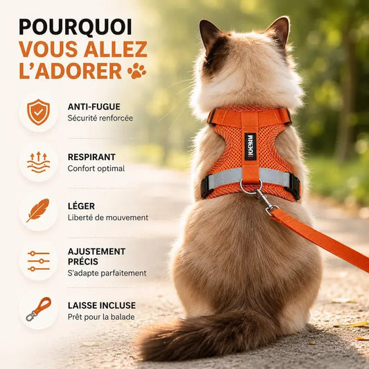 Pettorine Per Gatti Antifuga Regolabile