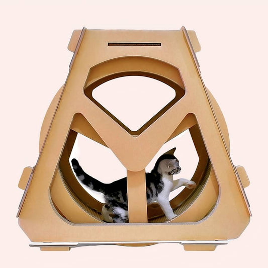 Tapis Roulant Per Gatti Interattivo
