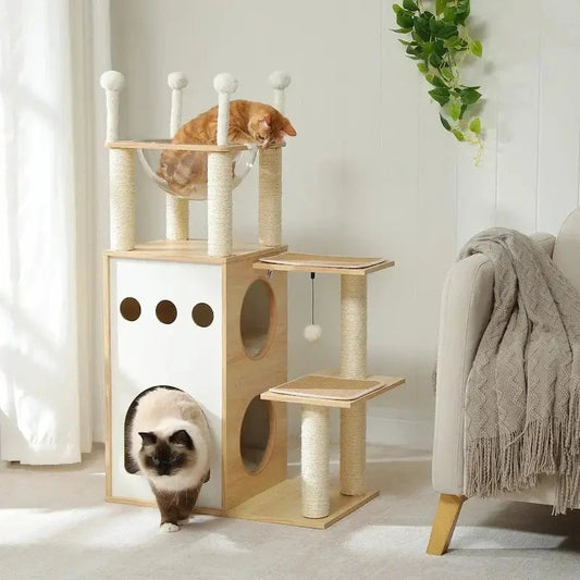 Tiragraffi In Legno Per Gattini Per Gatti