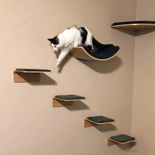 Tiragraffi Nuvola Per Gatti