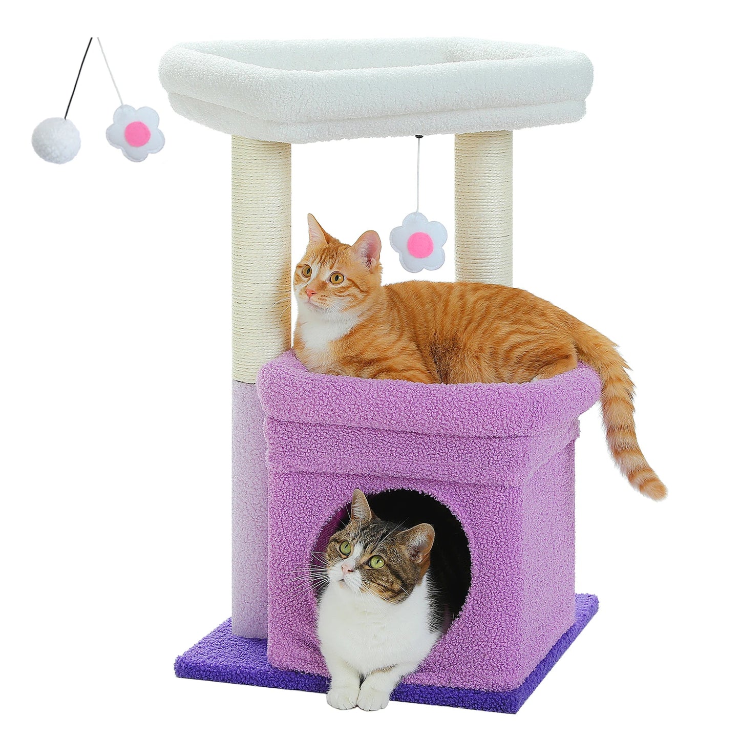 Tiragraffi Per Gattini Con Cuccia Grigio Confortevole