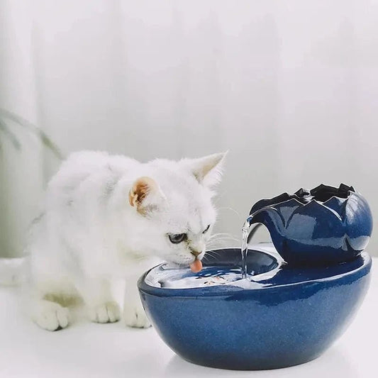 Abbeveratoio Per Gatti