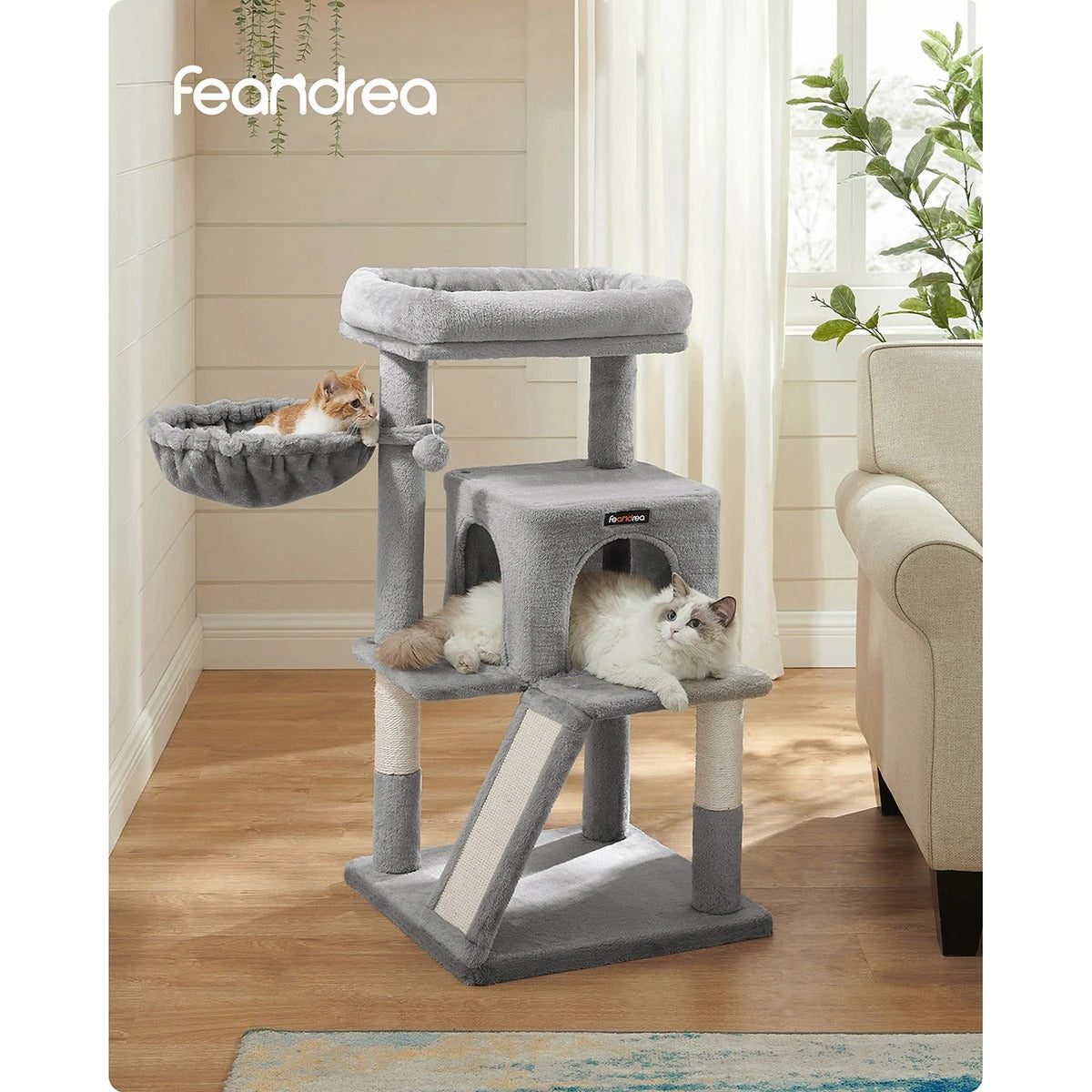 Alberi Per Gatti Da Interno