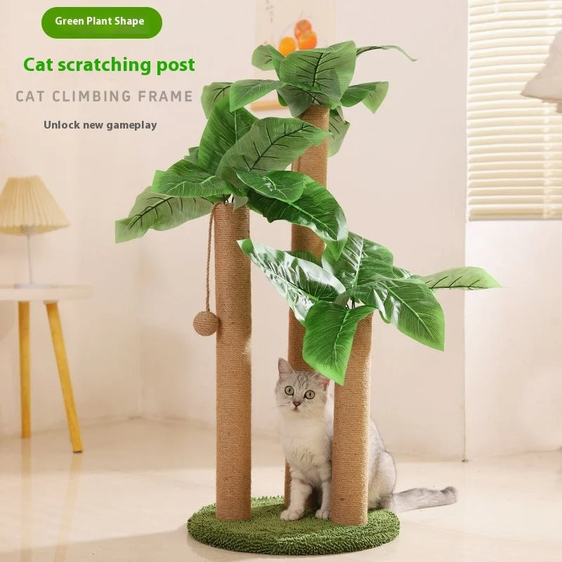 Alberi Per Gatti In Legno