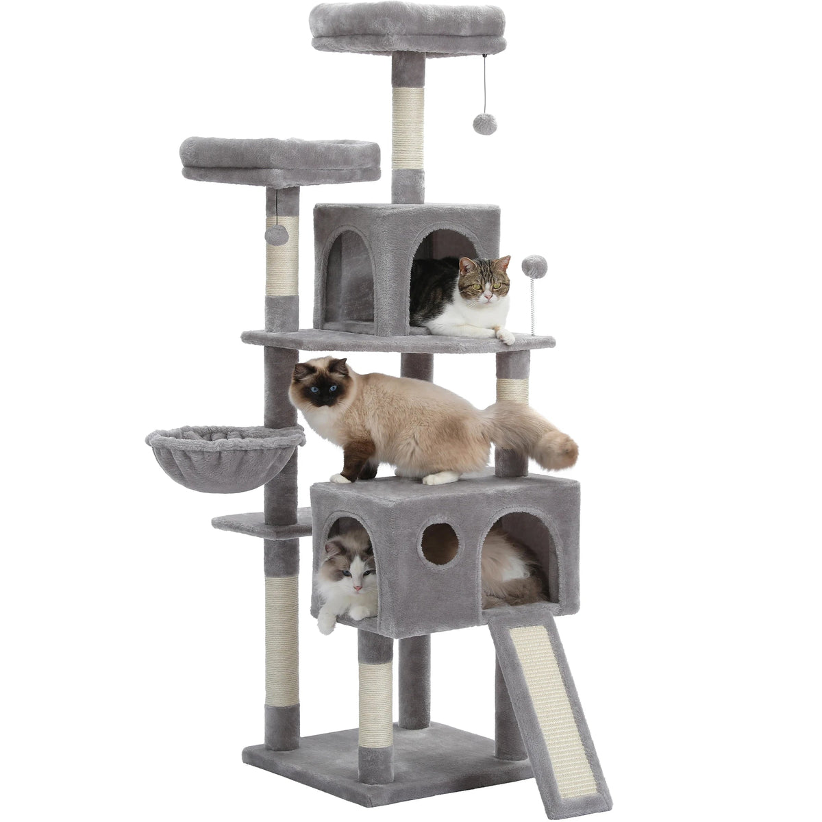 Albero Per Gatti Da Interno Per Gattini