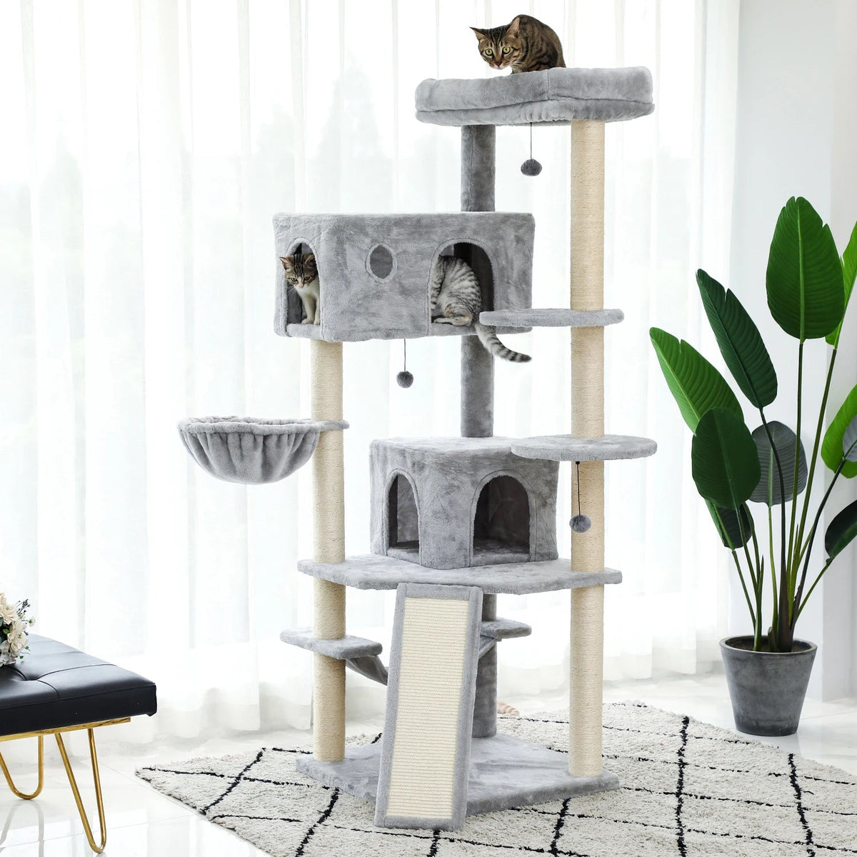 Albero Per Gatti Da Interno