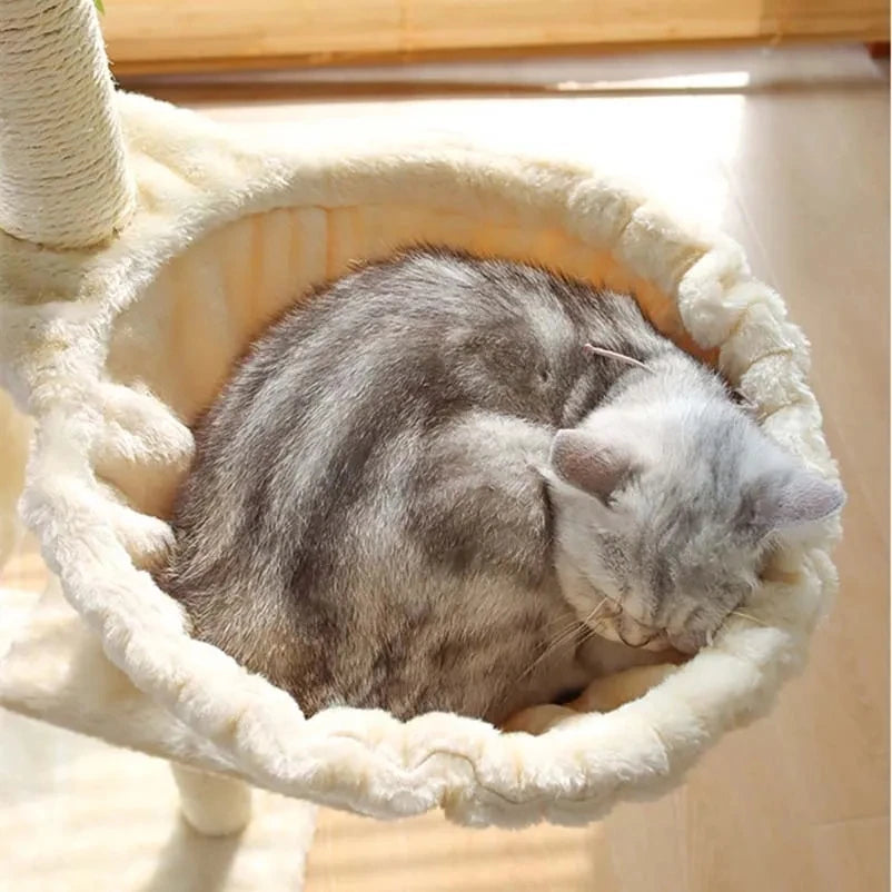 Albero Tiragraffi Per Gatti Grandi In Sisal