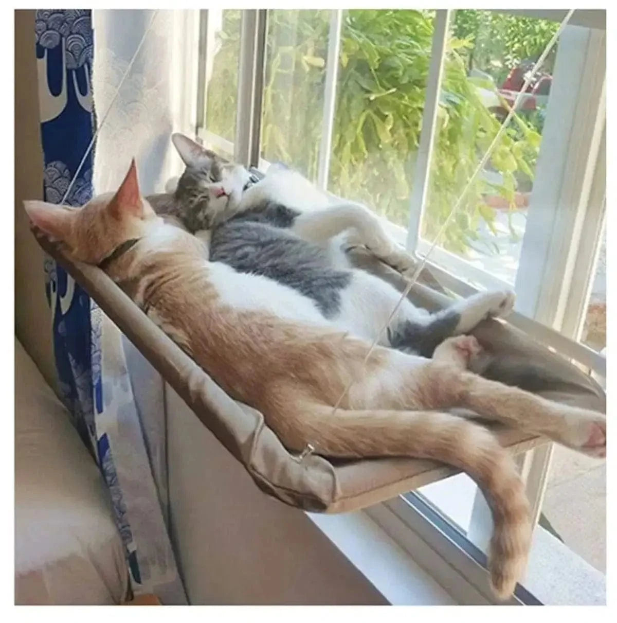 Amaca Da Finestra Per Gatti Comoda