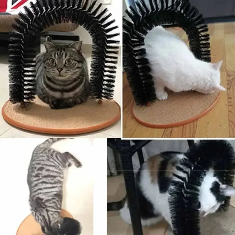 Archetto Massaggiante Per Gatti Divertente