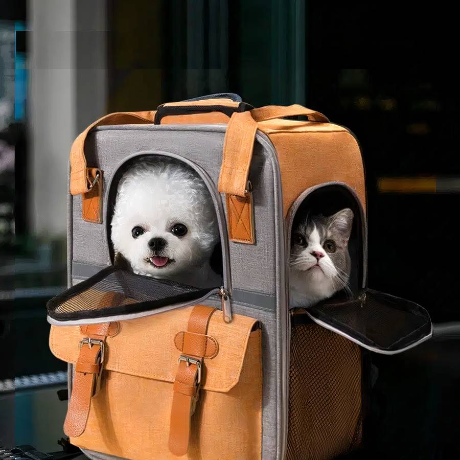 Borsa Capiente Per Gatti Pieghevole
