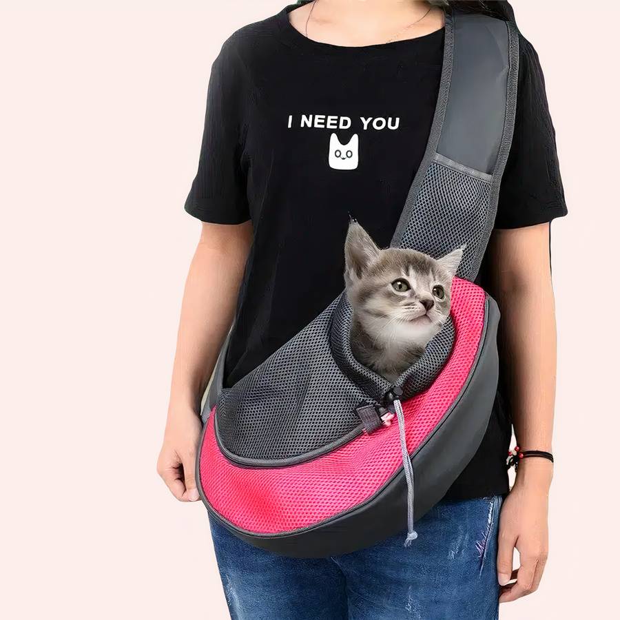 Borsa In Rete Per Gatti