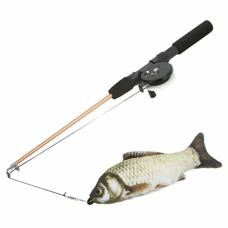 Canna Da Pesca Per Gatti Divertente