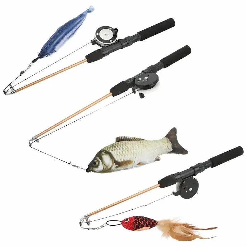 Canna Da Pesca Per Gatti Per Gattini