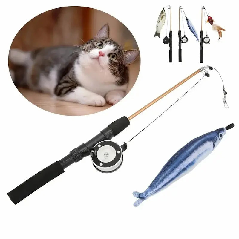 Canna Da Pesca Per Gatti