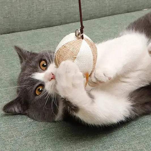 Canne Da Pesca Gatti Per Gatti