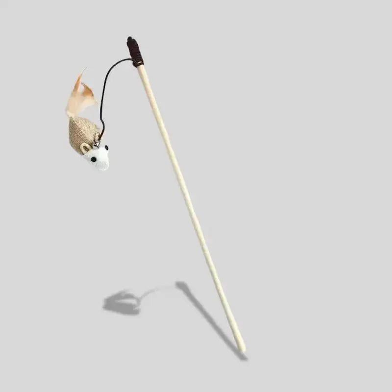 Canne Da Pesca Gatti Resistente