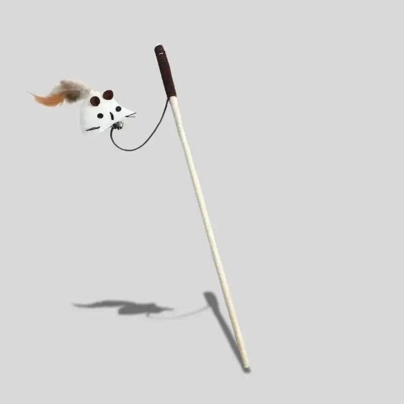 Canne Da Pesca Gatti Stimolante