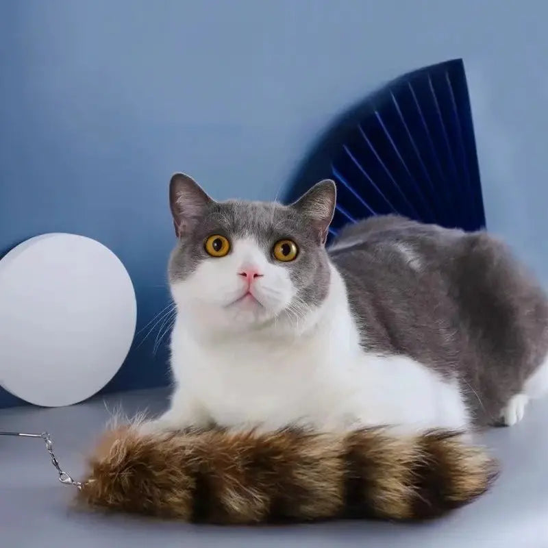 Canne Da Pesca Per Gatti Anti Noia