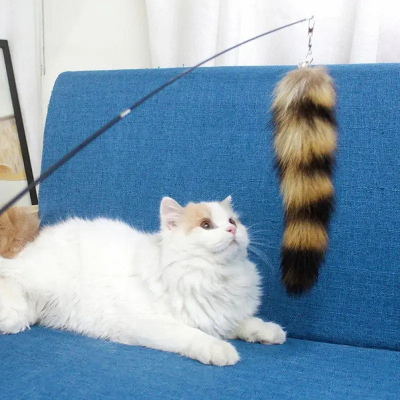 Canne Da Pesca Per Gatti Divertente