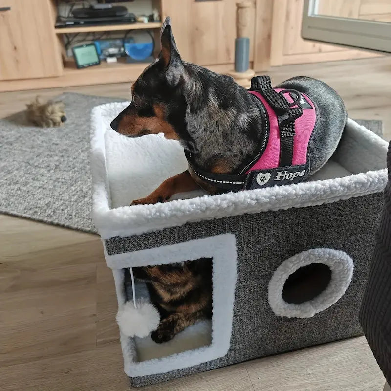 Casetta Per Gatto Comoda