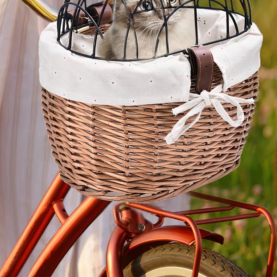 Cestino Da Bici Per Gatti Da Viaggio