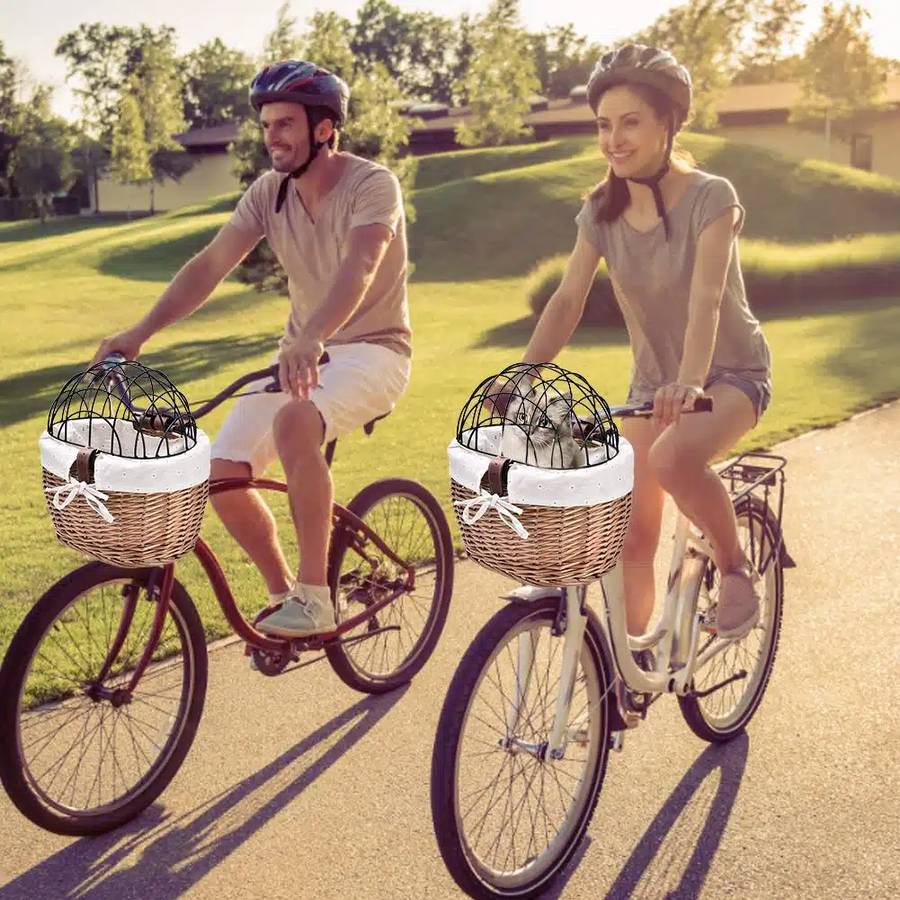 Cestino Da Bici Per Gatti Trasparente