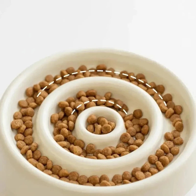 Ciotola Anti Ingozzamento Gatto In Ceramica