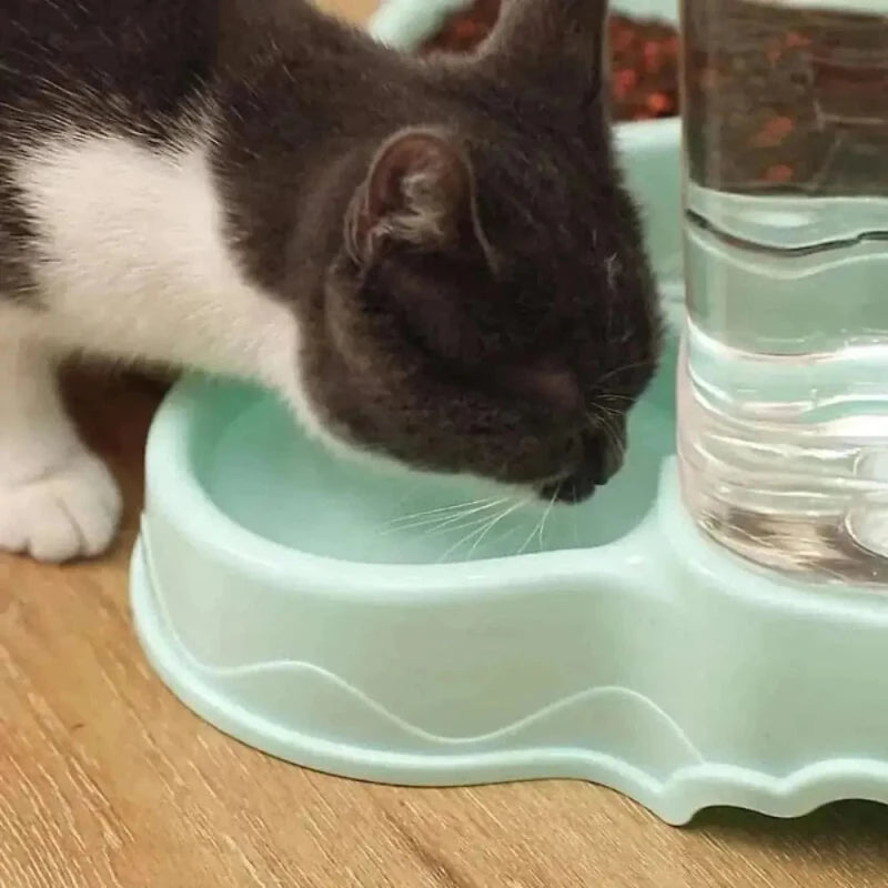 Ciotola Automatica Per Gatti Doppia