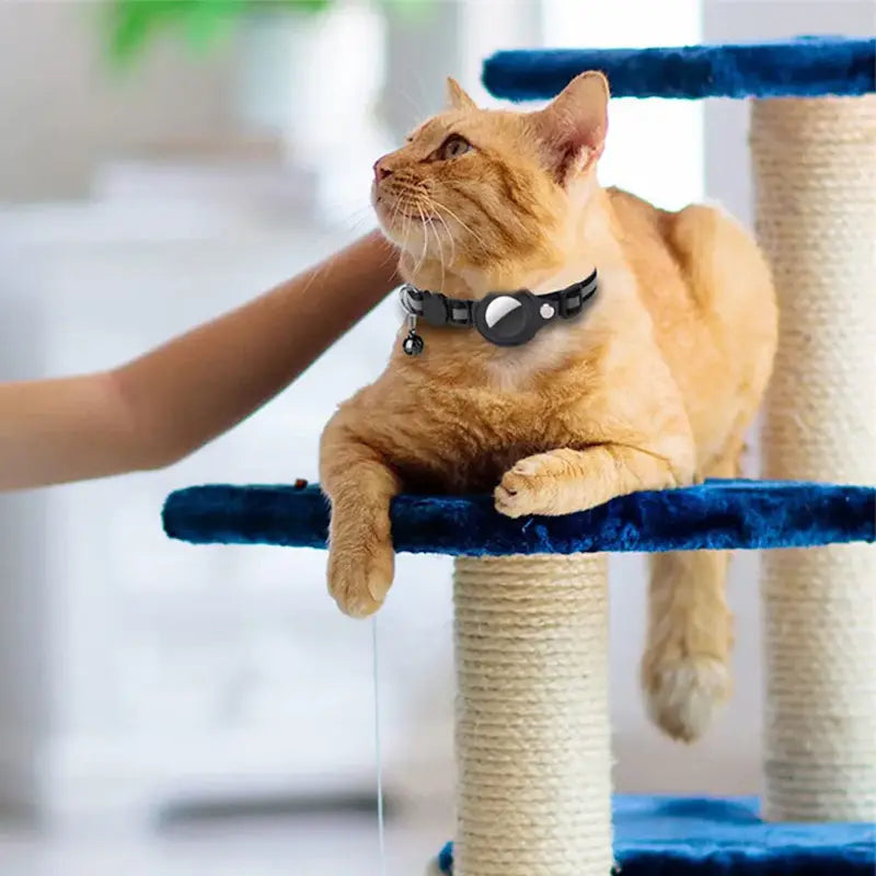 Collare AirTag Gatto Per Gatti