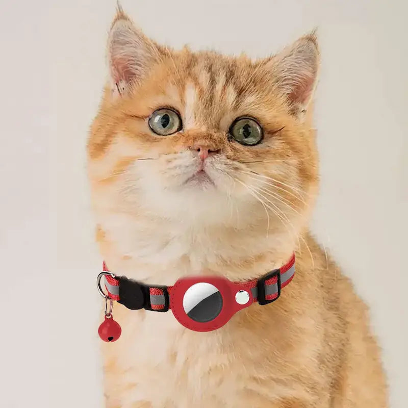 Collare AirTag Gatto Senza Abbonamento